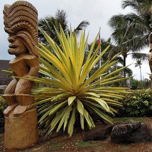 Tiki Statue