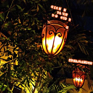 spinamanuchi glenn scott davis