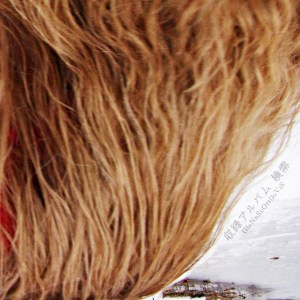 Glenn Scott Davis Album